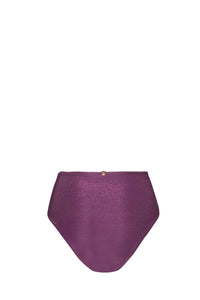 Kendall High Waisted Bikini